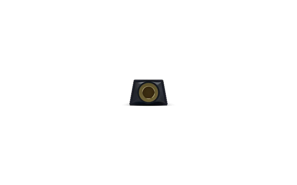 iFi Audio GO Link 2 - Dongle DAC/AMP portátil - USB-C iFi Audio