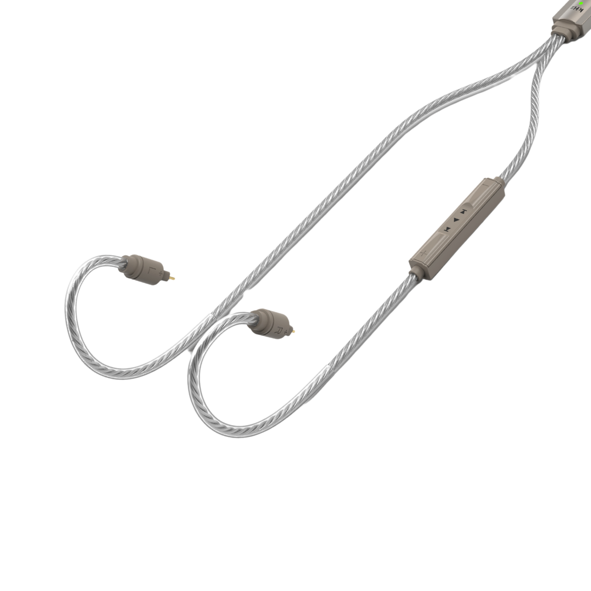 iFi GO Cable - Cable DAC y Amplificador Hi-Res USB-C a 2-Pin (0.78mm)