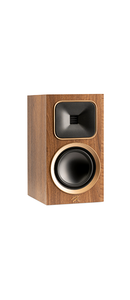 Motion Foundation B1