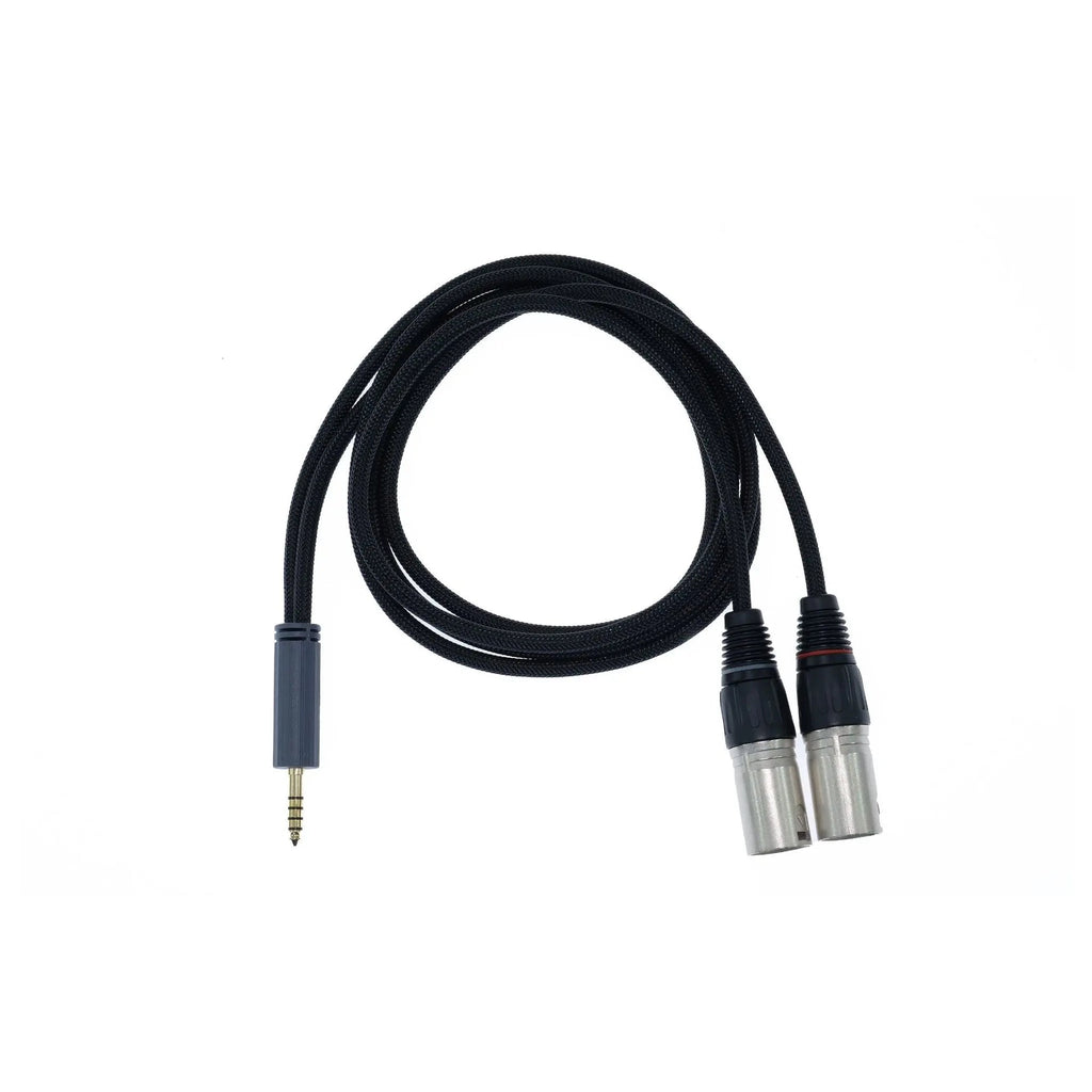 iFi Audio Cable 4.4 mm a XLR Standard Edition – Cable balanceado – Alta fidelidad para audio profesional iFi Audio