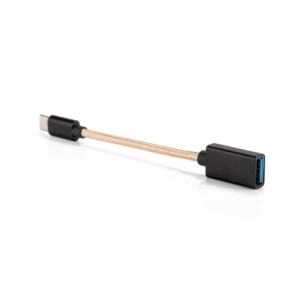 iFi Audio Cable USB-A a USB-C OTG – Cable de datos – Conexión rápida y fiable iFi Audio