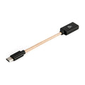 iFi Audio Cable USB-A a USB-C OTG – Cable de datos – Conexión rápida y fiable iFi Audio